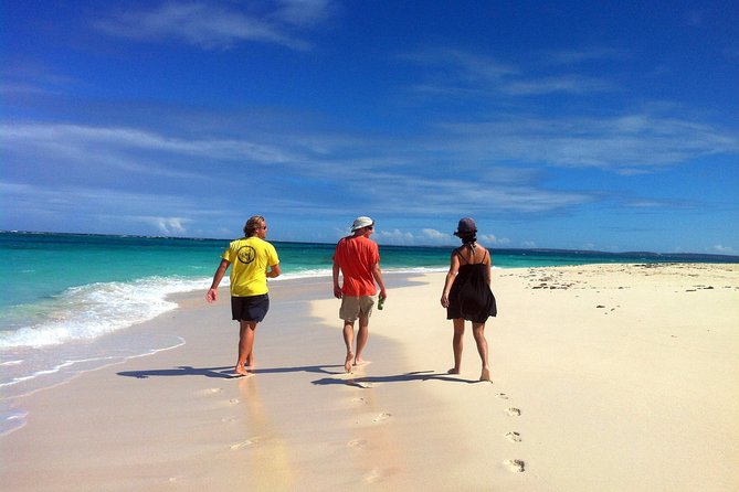 Beach Hopping