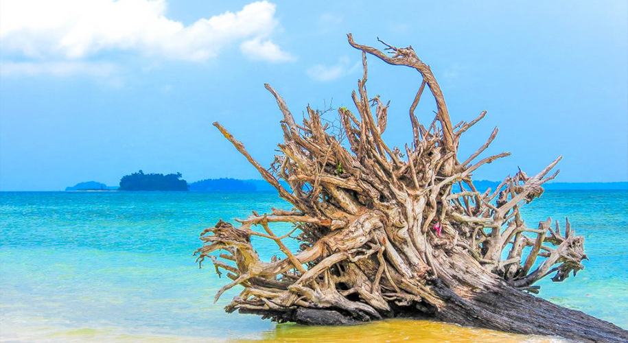 Wandoor Beach