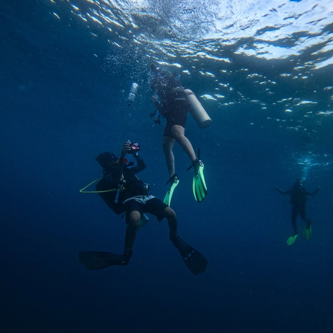 Scuba Diving