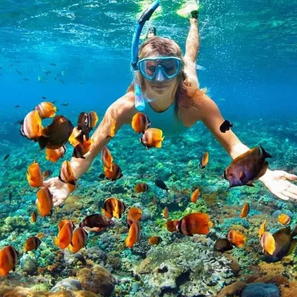 Snorkeller floating above a shallow coral reef