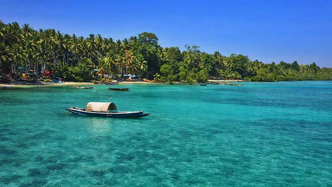 Palm-lined beach with a catamaran