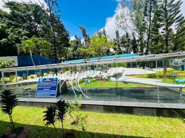 Samudrika Naval Marine Museum, Port Blair